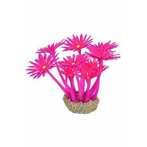 Dekoracja akwariowa FLOWERS 1 fioletowa/różowa Zolux