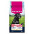 Eukanuba Dog Senior Large bogaty w świeżego kurczaka 15kg
