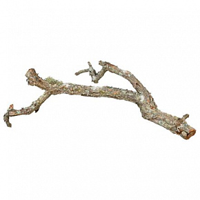 Tronchos, mieszanka gałęzi korkowych, naturalna 15 kg