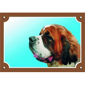 Kolorowa tabliczka Uwaga pies, Bernardyn