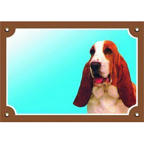 Kolorowa tabliczka Uwaga pies, Basset