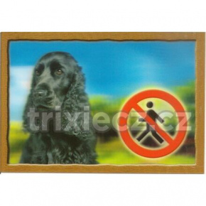 Tabliczka 3D PSY, Angielski Cocker Spaniel czarny