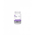 VetExpert GeriatiVet Dog 45tbl