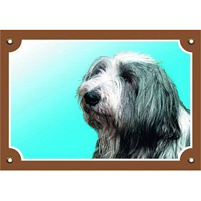 Kolorowa tabliczka Uwaga pies, Bearded Collie