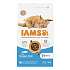 Iams Cat Adult Ocean Fish 3kg