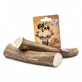 KIDDOG Antler, cały róg jelenia - XL