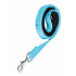 Smycz dla psa SOFT nylon 25mm/1m turkusowa Zolux