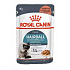 Royal Canin Feline Hairball Care saszetka 85g