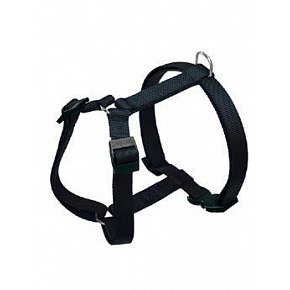 Szelki CHAMPION P XL czarne FP 1 szt. Szelki CHAMPION P XL czarne FP 1 szt.