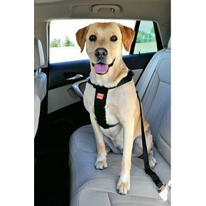Szelki dla psa Bezpieczeństwo do samochodu XL Zolux