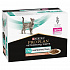 Purina VD Feline - EN St/Ox Gastroint. Saszetka z łososiem 10x85 g