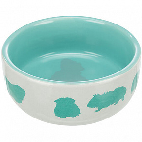 Kolorowa ceramiczna miska dla świnek morskich 250 ml/11 cm