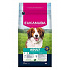 Eukanuba Dog Adult Small&Medium bogata w jagnięcinę 3kg