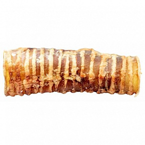 Tchawica wołowa - 1 szt.