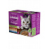 Whiskas saszetka Pure Delight mix w galarecie 12x85g