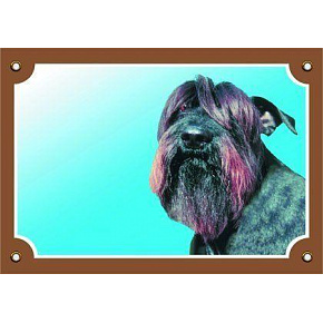 Kolorowa tabliczka Uwaga pies, Sznaucer czarny Kolorowa tabliczka Uwaga pies, Sznaucer czarny