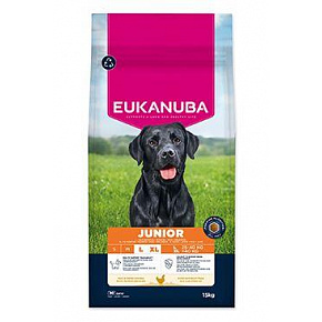Eukanuba Dog Junior Large bogaty w świeżego kurczaka 15kg