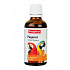 Beaphar ptaki Paganol Multivitamina papuga 50ml