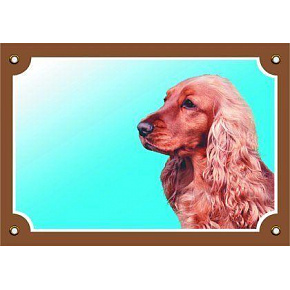 Kolorowa tabliczka Uwaga pies, Angielski cocker spaniel złoty