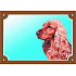 Kolorowa tabliczka Uwaga pies, Angielski cocker spaniel złoty