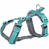 Premium szelki trekkingowe, aqua/grafit