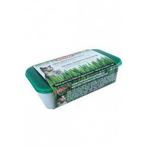 CATNIP - naturalny przysmak dla kotów Zolux
