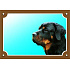 Tabliczka Tady pilnuję! Rottweiler 1 szt.