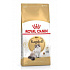 Royal Canin Breed Feline Ragdoll 2kg