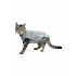 Ubranko EasyGo Body Cat 38,5cm XS BUSTER