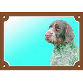 Kolorowa tabliczka Uwaga pies, Czeský fousek