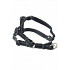 Szelki BUSTER Airmesh odblaskowe M, 25mm czarne