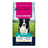 Eukanuba Dog Adult Medium bogata w świeżego kurczaka 3kg
