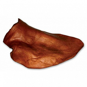 Ucho wieprzowe - 1 szt.