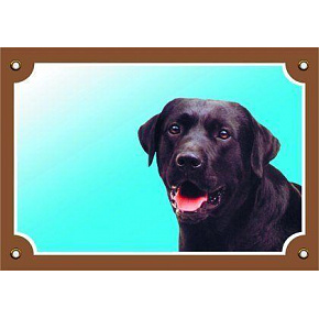 Kolorowa tabliczka Uwaga pies, Labrador czarny