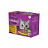 Whiskas saszetka Core wybór drobiowy w sosie 12x85g