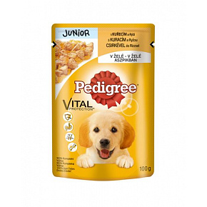 Mars PEDIGREE saszetka dog JUNIOR z kurczakiem i ryżem w galarecie 24 x 100 g Mars PEDIGREE saszetka dog JUNIOR z kurczakiem i ryżem w galarecie 24 x 100 g