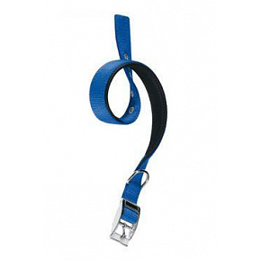 Obroża nylonowa DAYTONA C 53cmx25mm niebieska FP 1szt.