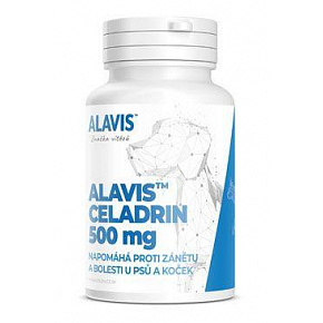 Alavis Celadrin dla psów i kotów 60 kapsułek 500mg