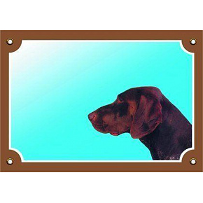 Kolorowa tabliczka Uwaga pies, Wyżeł niemiecki brązowy