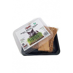 Apetyt trawa dla kota, miska do uprawy, mata kokosowa 30g Apetyt trawa dla kota, miska do uprawy, mata kokosowa 30g