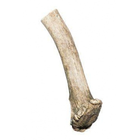 Przysmak z poroża Danek 100-140g
