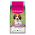 Eukanuba Dog Puppy Small&Medium bogata w jagnięcinę 12kg