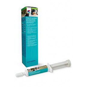 Pasta Pet Intestinal Formula 30ml CVET