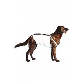 Bandaż brzuszny nr 3 dla psów, 44 cm, spaniel 1 szt. CVET