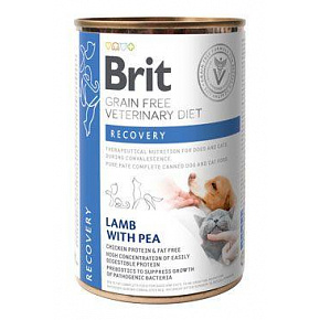 Brit VD Dog+Cat GF konz Recovery 400g