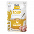 Brit Care Cat Soup z Kurczakiem 75g