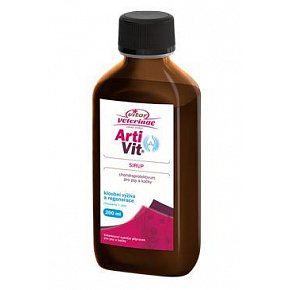 VITAR ArtiVit Syrop 200ml VITAR ArtiVit Syrop 200ml