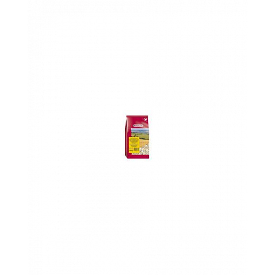 VL Sunflowerseeds White - Słonecznik biały, Egipski 600 g