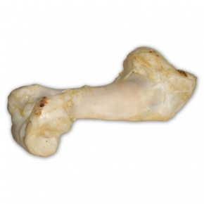Biała kość wołowa - ekstrudowana 1 szt./36 cm