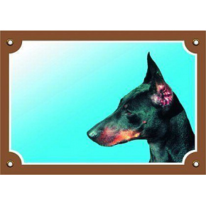 Kolorowa tabliczka Uwaga pies, Doberman Kolorowa tabliczka Uwaga pies, Doberman